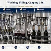 Machine monobloc automatique de rinçage, remplissage et bouchage du vin, remplisseur en acier inoxydable 304 pour vin rouge, cidre, équipement de cave à vin