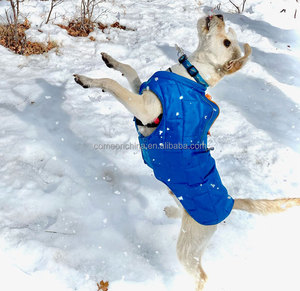 Chaqueta para perros de fábrica, ropa de invierno para mascotas, <span class=keywords><strong>abrigo</strong></span> reflectante para perros, ropa Reversible para clima frío, disfraz para mascotas, ropa de protección, chaqueta para perros - Product Image 4