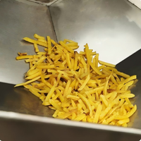Automatische diepvriesfriet verwerkingslijn friteuse, food grade roestvrij staal, hoge efficiëntie, capaciteit 7200kg/uur, geschikt voor fruit en groenten
