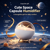 Nouvel Arrivage : Humidificateur pour Animaux de Compagnie en Forme de Capsule Spatiale Mignonne, Grand Volume de Brume, Diffuseur Portable USB Type C pour Bureau, Maison, Voiture, Hôtel