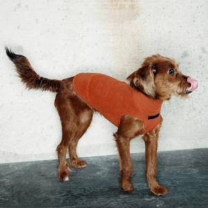 Ropa de Casa de punto acogedor para mascotas y Cárdigan para perros para ropa de <span class=keywords><strong>perro</strong></span> cálida de interior ligera de lujo - Product Image 2