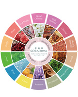 Huile de parfum pour diffuseur Crearoma Real Me, concentration 30%, modèle chaleureux pour l'ambiance quotidienne à la maison, à l'hôtel et en magasin, échantillon disponible