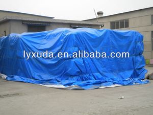 Lona personnalisé <span class=keywords><strong>pas</strong></span> <span class=keywords><strong>cher</strong></span> prix imperméable bleu argent Pe bâches <span class=keywords><strong>pour</strong></span> remorque de voiture et couverture de tente d'étang à poissons - Product Image 6