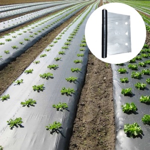 Nouveau <span class=keywords><strong>film</strong></span> <span class=keywords><strong>de</strong></span> paillis PE bicolore argent et noir, adapté à la culture des fraises et des légumes. - Product Image 1