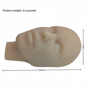 Tête d'entraînement en silicone pour injections faciales avec os et vaisseaux, pour <span class=keywords><strong>la</strong></span> pratique de <span class=keywords><strong>la</strong></span> micro-plastique - Product Image 2