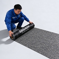 Flachdach-Abdichtung SBS APP Mineralgranulat Modifizierte Bitumen-Heißluftbahn-Dichtungsbahn