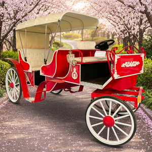 Magnifique calèche de luxe à 4 roues pour mariages, balades en calèche tirée par des chevaux pour les grands parcs et les excursions panoramiques - Product Image 2