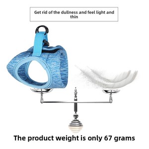 Para <span class=keywords><strong>Amazon</strong></span> Arnés de gato de moda con patrón sólido de tela transpirable y cintas decorativas Correa para mascotas Premium - Product Image 4