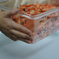 Wadah Penyimpanan Makanan Gastronorm Plastik PC Transparan Komersial Grosir Ramah Lingkungan Tahan Air 5L Tutup Geser Botol Pantry