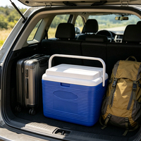 Glacière portable 6L pour extérieur, camping, pique-nique, voyage, stockage alimentaire