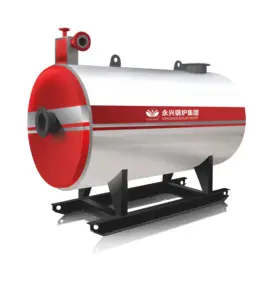 Oil, Gas, Dual Fuel Thermal Oil Boiler with European Burner