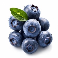 Verse 100% pure donkerblauwe bosbessen, hele vruchten, volle, natuurlijke, zoet-zure superfood, premium kwaliteit, groothandel bulk