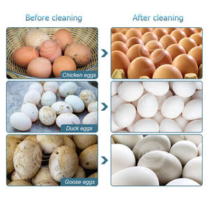 ORME endüstriyel yumurta fırça temizleyici otomatik yumurta yıkayıcı makine ördek yumurta yıkama makinesi - Product Image 2