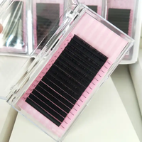 Cils individuels personnalisés en faux vison cachemire noir mat 0.03/0.05 Volume Lash Trays Supplies