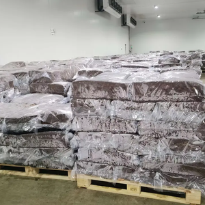 เห็ดกระดุมสีขาวสำหรับฟาร์มเห็ด - Product Image 2