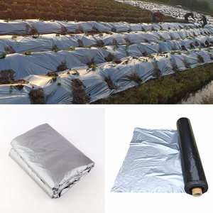 Film de paillage en plastique noir et argenté pour fruits, légumes et cultures, prévention réfléchissante des mauvaises herbes et barrière contre l'humidité - Product Image 3
