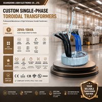 Noyau toroïdal de haute qualité 50W-5000W Entrée 110V 120V Transformateur de puissance pour testeur industriel