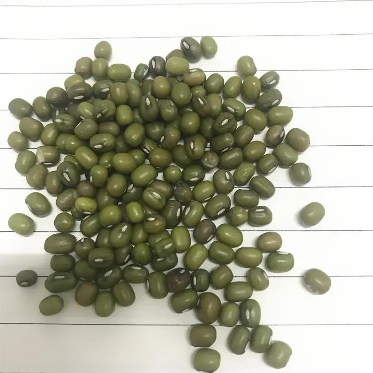 Green Mung Beans Export Green Mung Beans