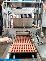 Machine automatique de fabrication de bonbons, gelée, ananas, ours, bonbons, pour bonbons mous et durs