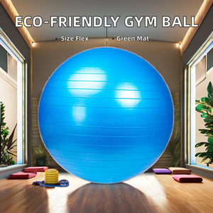 Vente en gros de balles de gym en PVC écologiques de haute qualité avec logo personnalisé 45cm 55cm 65cm 75cm 85cm balles de fitness et de <span class=keywords><strong>yoga</strong></span> - Product Image 3