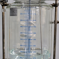 Réacteur mélangeur chimique industriel automatique 100L à chemise en verre avec PLC pour décarboxylation