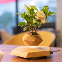 Maceta Moderna Levitante Personalizada, Rotación Magnética de 360 Grados, Decoración Inteligente para el Hogar, Macetas de Escritorio