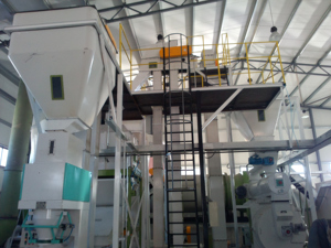 Sistemas Completos de Granulación de Pellets de Madera para <span class=keywords><strong>Plantas</strong></span> de Manufactura en Sudamérica, Perú, Chile, <span class=keywords><strong>Paraguay</strong></span> - Alta Productividad - Product Image 4