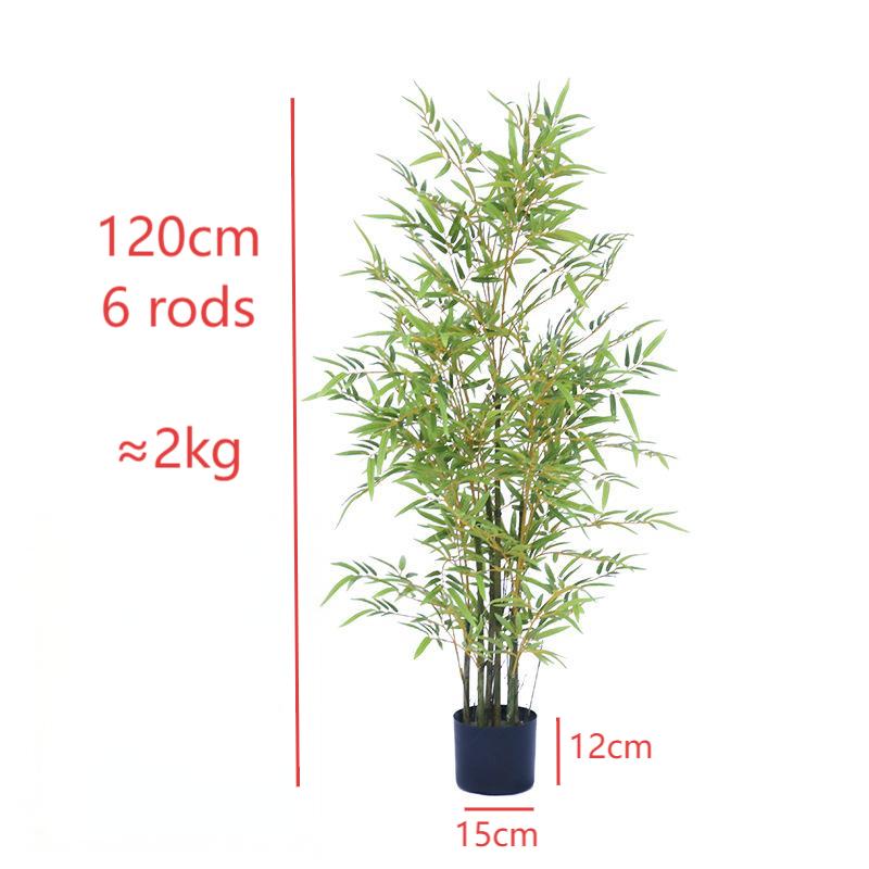 Yellow stem bamboo 120cm
