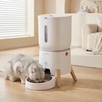 Distributeur automatique de nourriture pour animaux de compagnie, style nordique, avec pieds en bois, pour chats et petits chiens, ODM OEM