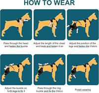 Genouillère pour chien à large bande de maintien sans SBR, avec doublure douce, pour luxation de la rotule, jambe arrière, post-opératoire, manchon articulaire pour animaux de compagnie, vente en gros