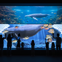 Système de projection murale interactive unique à 360 degrés, projecteur immersif mural/sol, projection immersive en tunnel 3D