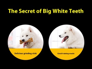 Fabricante al por mayor admite aperitivos OEM para mascotas y perros para eliminar el mal aliento, suplemento de calcio, dientes limpios y huesos - Product Image 5