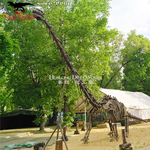 Große Outdoor-Statuen Dinosaurier-Skelett-Skulptur - Product Image 3