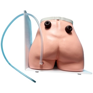 Modèle anatomique d'enseignement infirmier de fistule et d'ostomie grandeur nature en PVC de haute qualité <span class=keywords><strong>pour</strong></span> la science médicale - Product Image 2