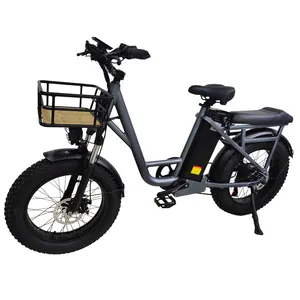 Vente d'usine adulte 48V 15AH 750W 1000W vélo électrique pliant/gros pneu vélo électrique/cyclomoteur avec pédale livraison directe EBike - Product Image 1