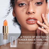 Lápiz Labial Mágico Mate Hidratante de Alta Calidad Profesional con Logotipo Personalizado al por Mayor, Cambia de Color Rojo, Impermeable, Vegano y de Larga Duración