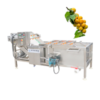 Automatische fruit- en groentezaadreinigingsmachine van roestvrij staal 304, wasmachine voor uien en garnalen met bubbeltechnologie