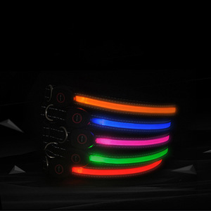 Kalung Hewan Peliharaan LED Bercahaya USB Isi Ulang Anti-Hilang Menyala di Malam Hari untuk Kucing & Anjing Semua Musim - Product Image 3