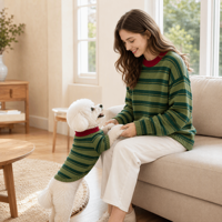 Ensemble pull et collier contrastant rétro rouge et vert à rayures pour propriétaire et animal de compagnie, personnalisable ODM OEM, vente en gros