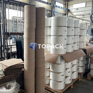 Cinta de Embalaje de Poliéster de 16, 19, 25 y 32 mm, 3/4 y 11/4 Pulgadas, para Contenedores y Palés - Product Image 2