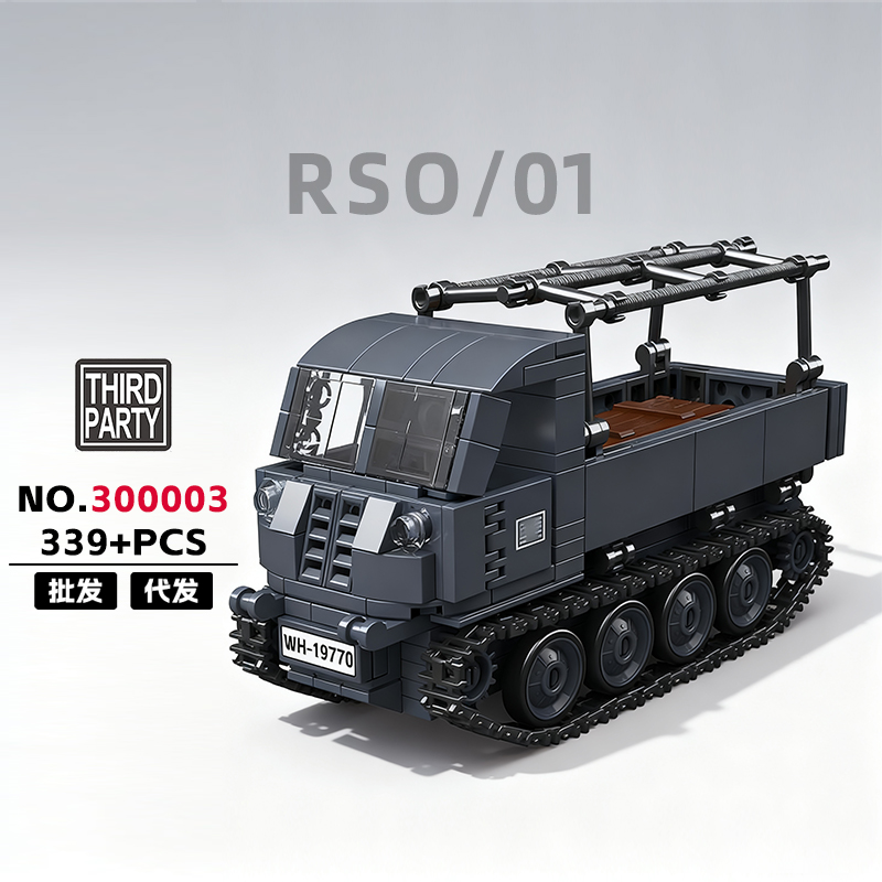 300003 - RSO/01