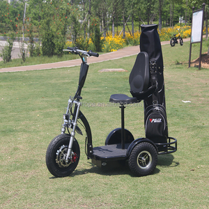 Patinete Eléctrico con Certificación CE de 800W 48V para Personas con Discapacidad y Uso en <span class=keywords><strong>Golf</strong></span> para Adultos YXEB-712 - Product Image 1