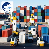Logística Semanal de Contenedores Puerta a Puerta de Shenzhen a Argentina DDP