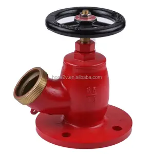 Hot Sale 2.5" Brass Bsp Screw Type Oblique Fire Hydrant Landing Valve with Plated Red Color with/without flange Europeanmarket