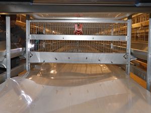 Üreme ekipmanları katlanır h tipi döşeme tavuklar otomatik tavuk üreme kafesi - Product Image 4