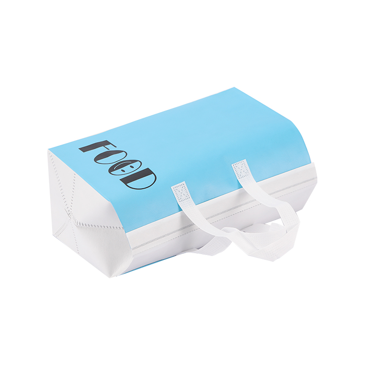 Wholesale food delivery bag cooler disposable insulated lunch cooler bag non woven
