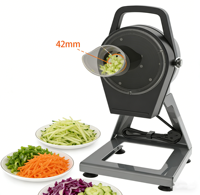 Petite machine à couper les légumes portable, électrique, pour oignon vert, ciboulette, échalote, avec épaisseur réglable, trancheuse à segments