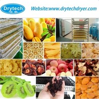 Hoge kwaliteit DRYTECH SONCAP gecertificeerde 19.4KW 3500KG warmtepompdroger voor mungbonen met 1 jaar garantie