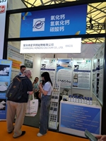 Poudre de chaux vive de haute pureté (CaO) Marque HONGYU Certifiée ISO9001 pour le traitement des eaux usées Matière première calcaire 200-1200