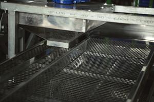 Ligne de décorticage de noix de cajou, type 4, 10 lames, capacité 1400-1600 kg/h, entièrement automatique, qualité supérieure - Product Image 3